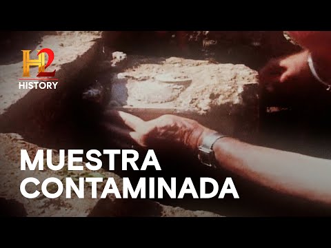 Analizando el ADN DE JUAN EL BAUTISTA  EL ADN DE JESÚS: LA BÚSQUEDA