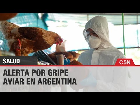 ALERTA por GRIPE AVIAR en ARGENTINA