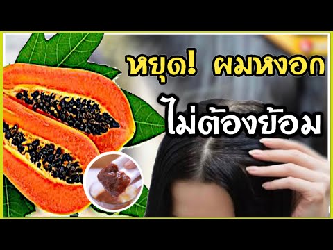 ผมหงอกก่อนวัย-แก้ยังไง-|-ผมขาว ผมหงอกก่อนวัย-แก้ยังไง-|-ผมขาว