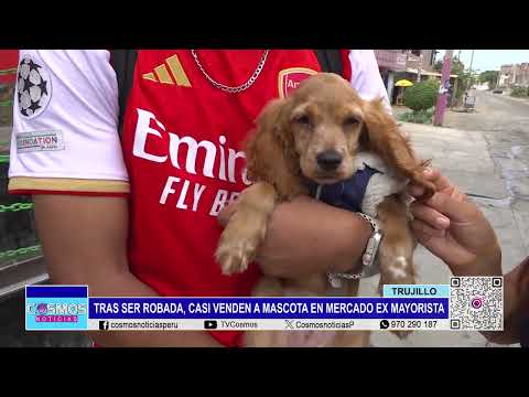 Trujillo: tras ser robada, casi venden a mascota en Mercado Ex Mayorista