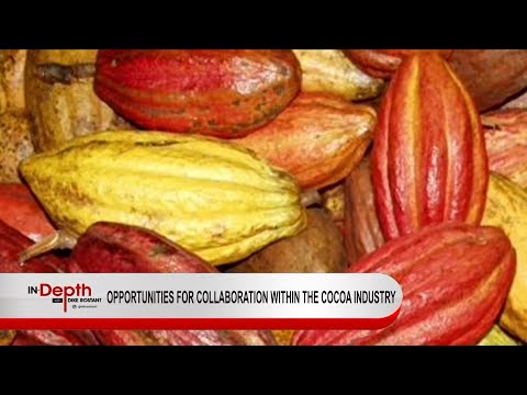 In Depth With Dike Rostant - Opportunities For Collaboration Within The Cocoa Industry