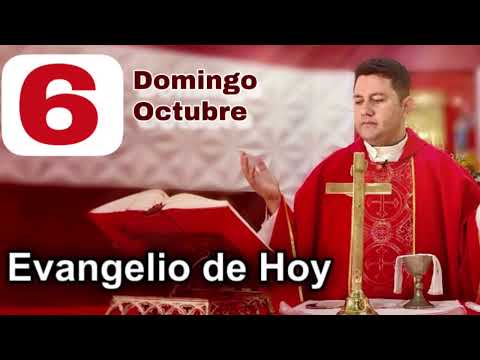 EVANGELIO DE HOY  DOMINGO 06  DE OCTUBRE DE 2024 (San Marcos 10, 2-16) | PADRE RICARDO PRATO