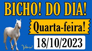 Palpite dia 10/10/2023 - JOGO DO BICHO TODAS AS LOTERIAS 