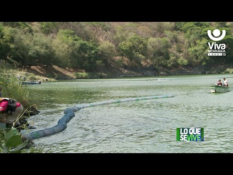 Autoridades de Managua instalan Nicabarda en la Laguna de Tiscapa