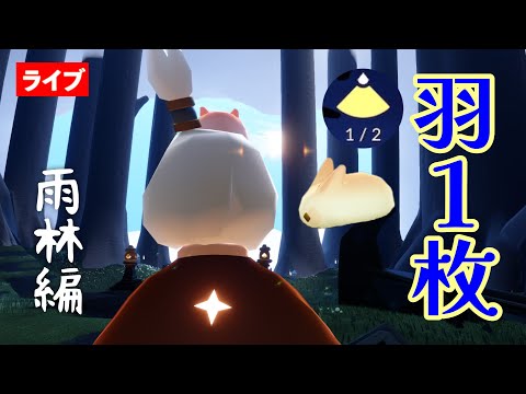 【羽１枚旅】Sky歴５年なら羽１枚で雨林は余裕なのか？【Sky星を紡ぐ子どもたち】