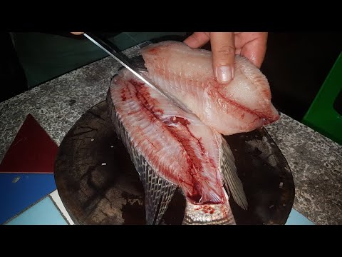 ก้อยปลานิลสดๆเนื้อหวานๆรสเด็ด- ก้อยปลานิลสดๆเนื้อหวานๆรสเด็ด-