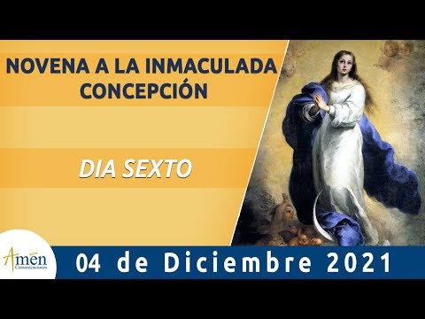 Inmaculada Concepción Novena l Dia 6 l Padre Carlos Yepes