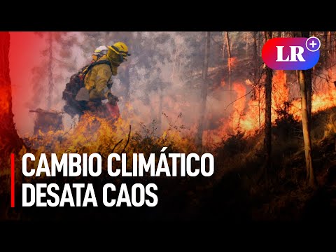 MEGAINCENDIOS se PROPAGAN RÁPIDAMENTE por CAMBIO CLIMÁTICO