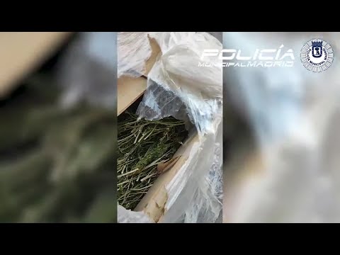 Descubren dos cajas con 50 kilos de marihuana en una calle de Vallecas (Madrid)