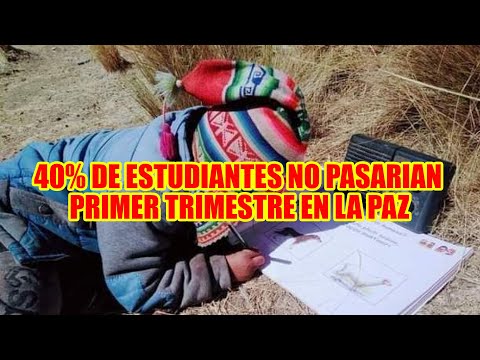 DIRIGENTES DEL MAGISTERIO URBANO DE LA PAZ EL 40% DE ESTUDAINTES ESTARIAN REPROBADOS EN LA PAZ..