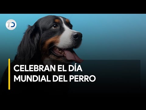 Celebran este 21 de julio el Di?a internacional del perro