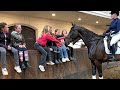Cheval CCE VERKOCHT; Prachtig sportpaard te koop!