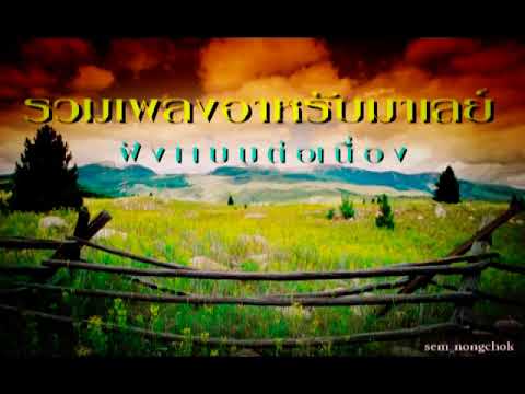 รวมเพลงอาหรับมาเลย์เพราะๆฟังเเ