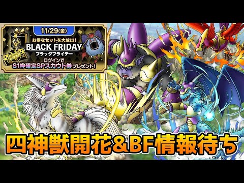 【DQタクト】四神獣才能開花性能&ブラックフライデー情報待ち枠！【#ドラクエタクト/#DQTact/#ドラゴンクエストタクト】