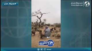 الله سلمها من القرود