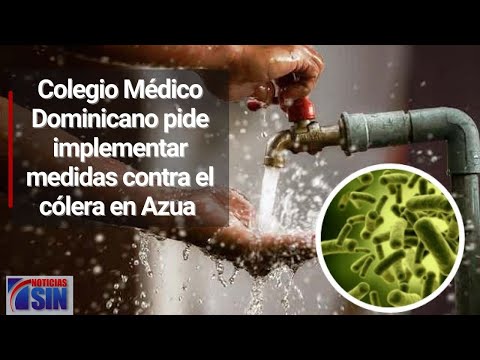 Colegio Médico Dominicano pide implementar medidas contra el cólera en Azua
