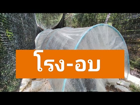 อบไผ่อบพันธุ์ไม้สวนไผ่นัสว