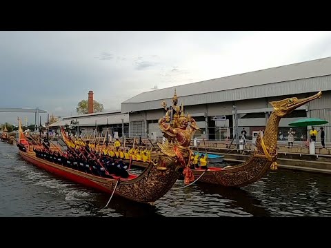 พาชมการซ้อมพายเรือพระราชพิธีท