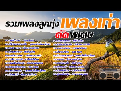 รวมเพลงลูกทุ่งคัดพิเศษ