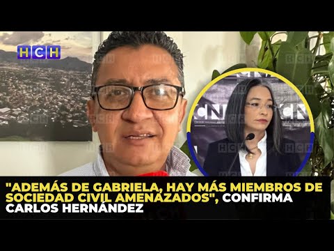 Además de Gabriela, hay más miembros de Sociedad Civil amenazados, confirma Carlos Hernández