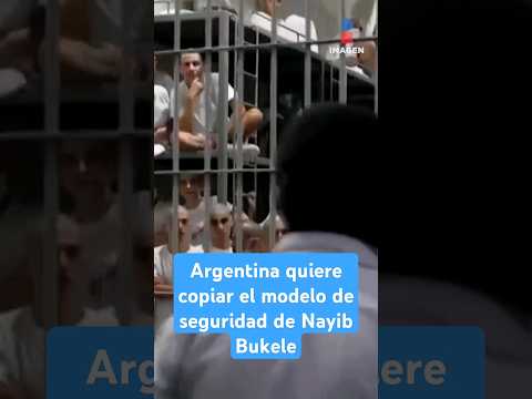 Argentina quiere copiar el modelo de seguridad de Nayib Bukele | Shorts | Zea