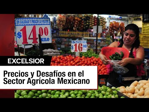 Análisis de Precios de Productos Básicos en México