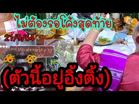 ไม่ต้องรอโค้งสุดท้าย-ตัวนี้อยู ไม่ต้องรอโค้งสุดท้าย-ตัวนี้อยู