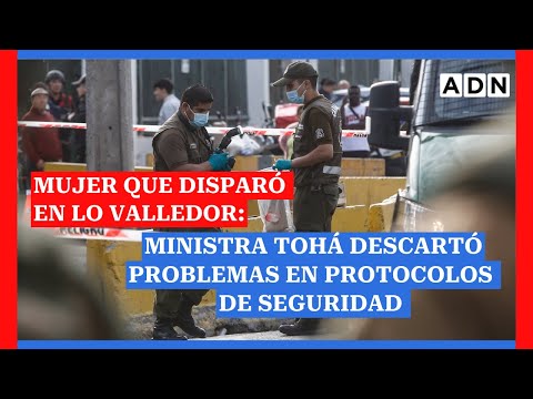 Ministra Tohá descartó problemas de seguridad en caso de la mujer que disparó un arma en Lo Valledor