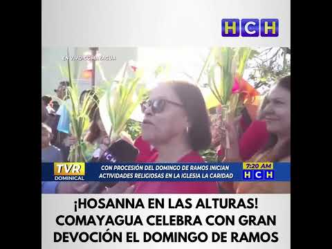 La capital religiosa de Honduras, Comayagua, conmemora este día la entrada triunfal de Jesús