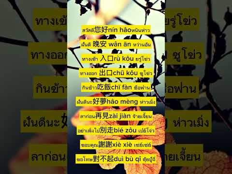 ภาษาจีนวันละคำstudythaistudy