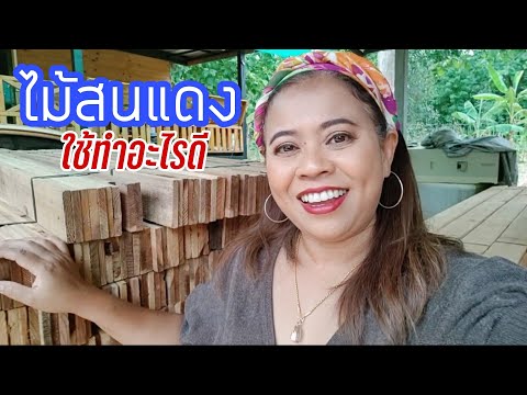 ไม้สนแดงใช้ทำอะไรได้บ้าง ไม้สนแดงใช้ทำอะไรได้บ้าง