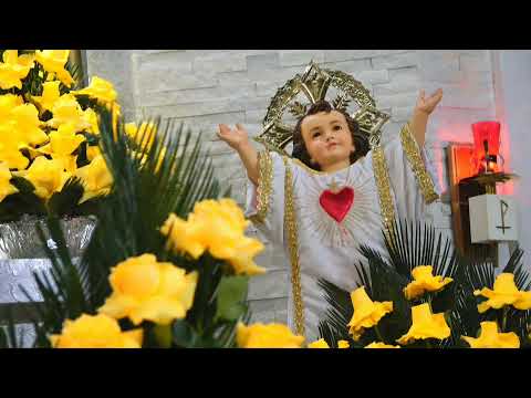 Santa Misa. Divino Niño Jesús. Novena-Santa Rosa de Lima(Día 1)(20-08-24)(19H00)