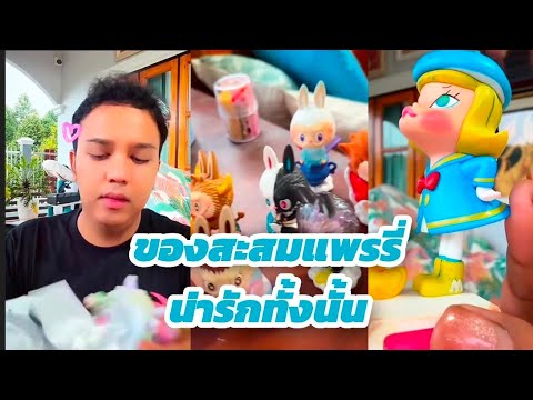 ของสะสมของแพรรี่แพรรี่แพรรี่