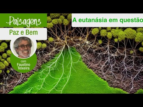 Paz e Bem #2162 – Paisagens 65: A eutanásia em questão (Faustino Teixeira) – 15.Out.24