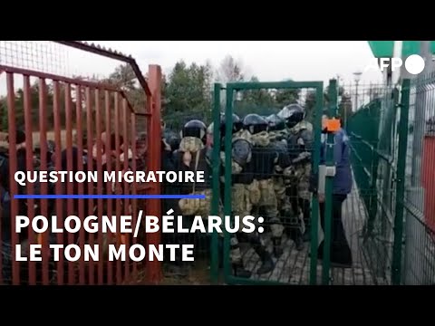 Pologne/Bélarus: des milliers de migrants massés à la frontière, le ton monte | AFP