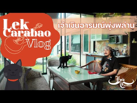 Vlog42LekCarabao:เจ้าเงิน