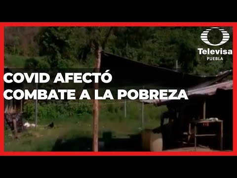 Cifras dramáticas | Las Noticias Puebla