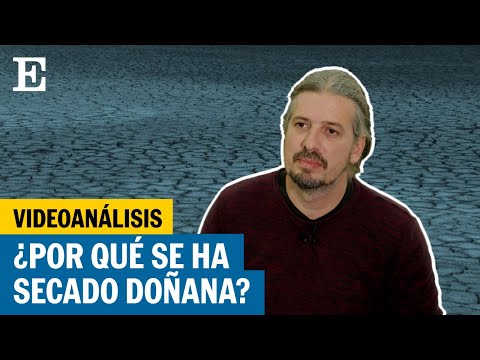 Videoanálisis | Así son los pozos ilegales en Doñana que están secando el parque nacional | EL PAÍS