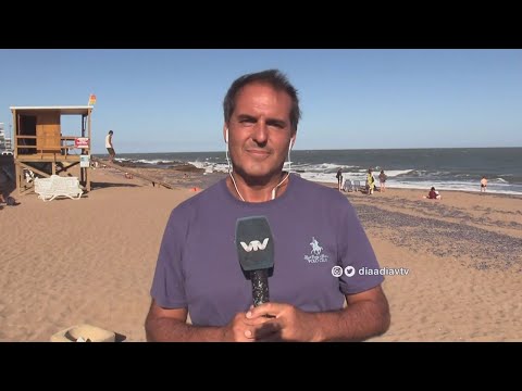 Gustavo Descalzi: Entrevista a Fernando Burlando