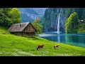 Restores The Nervous SystemRelaxing Music for Deep Sleep, Nature Sounds for Inner Calm