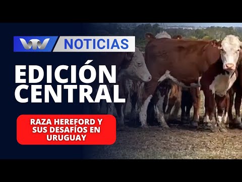 Edición Central 12/04 | Raza Hereford y sus desafíos en Uruguay