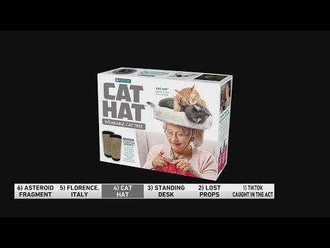 The 'cat hat' is the perfect gift for the cat lover in your life