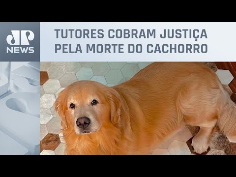 Caso do cão Joca: Donos de pets fazem manifestação em aeroporto de Brasília