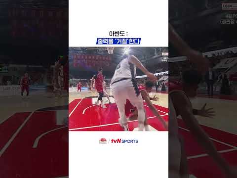 아반도 : 중력을 거절한다 #KBL