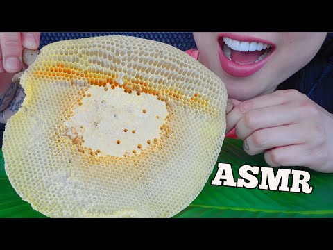 ASMR-RAW-HONEYCOMB-(RELAXING-S ASMR-RAW-HONEYCOMB-(RELAXING-S
