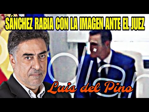 LUIS DEL PINO: PALO MONUMENTAL PARA PEDRO SÁNCHEZ, LA IMAGEN ANTE EL JUEZ PEINADO