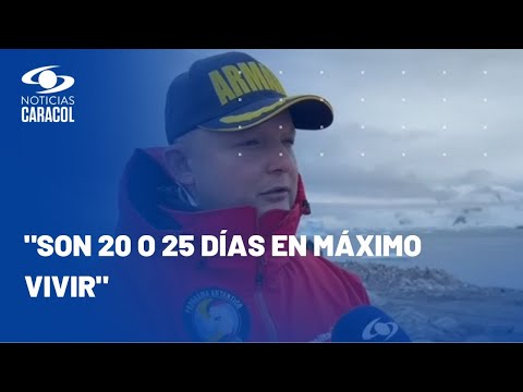 Expedición Antártica es una “experiencia es mágica: Si no se duerme, no importa