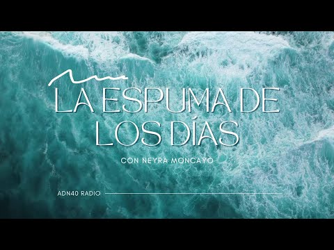 José Luis Reyes eleva el espíritu con Levántate, hecho está - La Espuma de los días #adn40radio