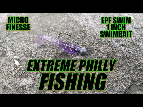 i got a pack of epf swim 1 inch swimbaits designed by extreme philly fishing