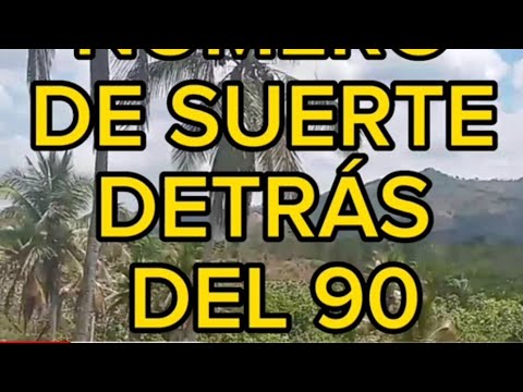 NÚMERO DE SUERTE DETRÁS DEL 90